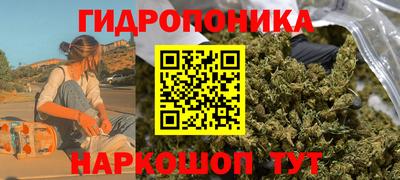 a pvp Кимры
