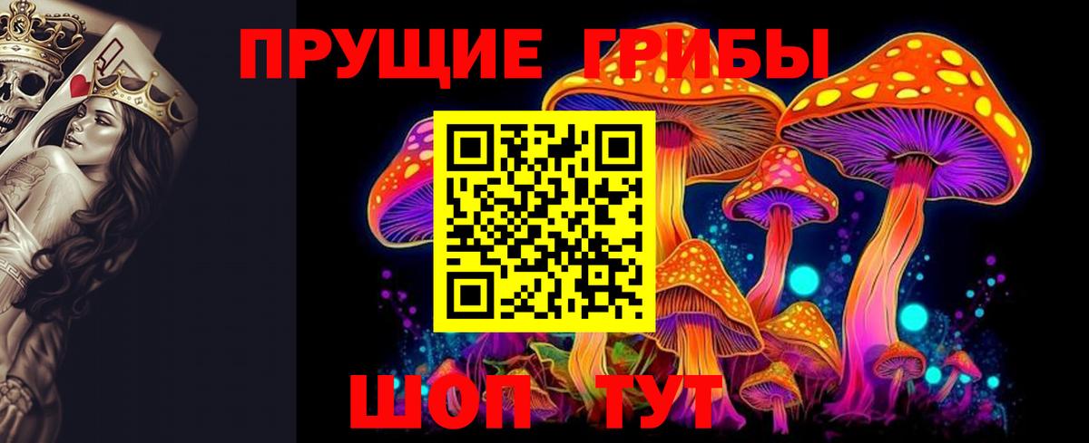 Псилоцибиновые грибы MAGIC MUSHROOMS  Вход с VPN  Котовск 