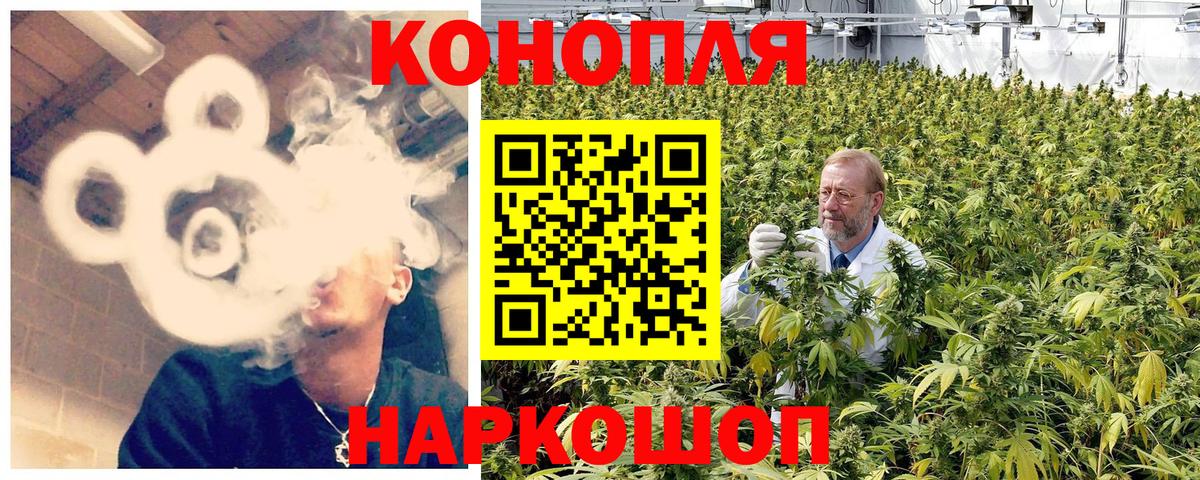 Каннабис сатива Котовск